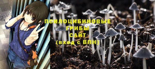 МДПВ Заволжск