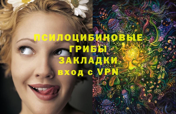МДПВ Заволжск