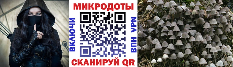 Купить закладки  Ипатово  Галлюциногенные грибы Cubensis 